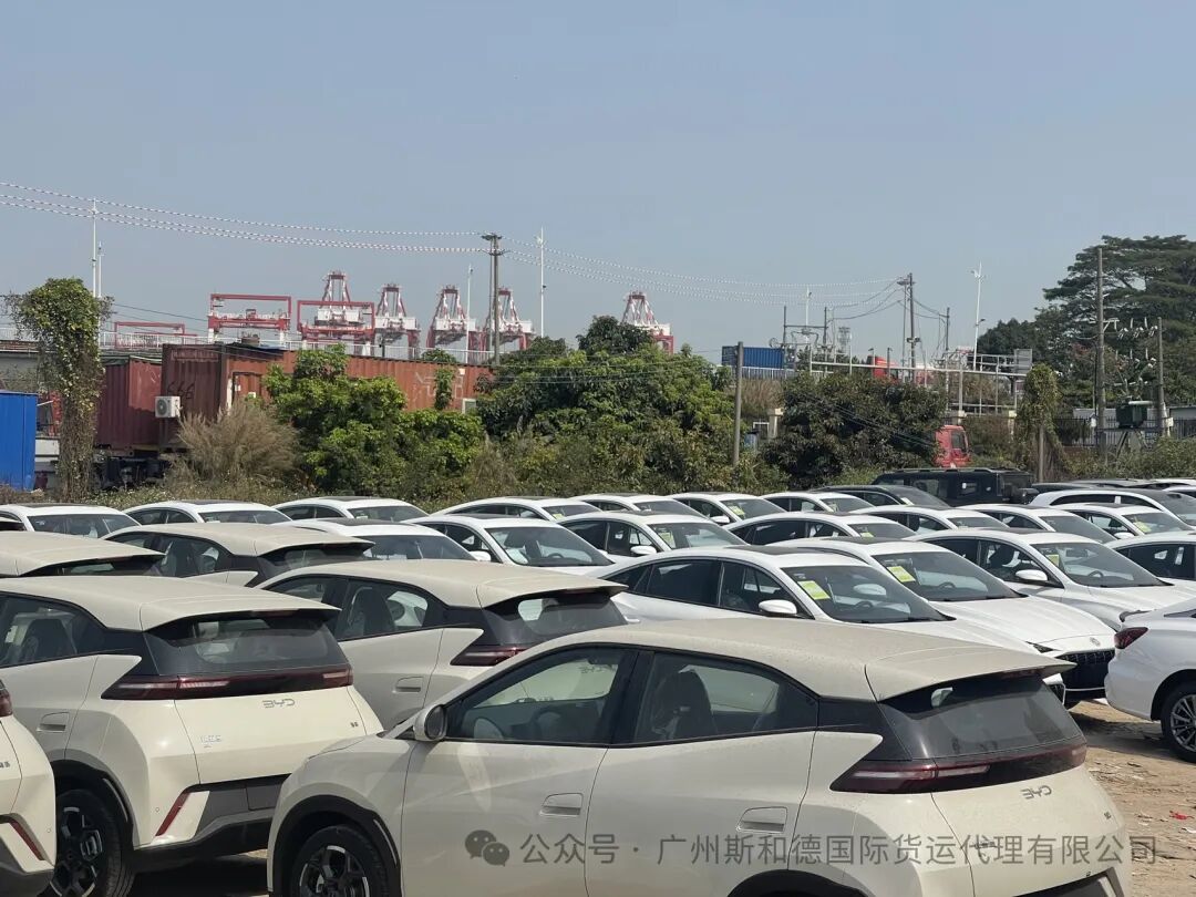 Ligtas na Sasakyan Karagatan Freight papuntang Africa